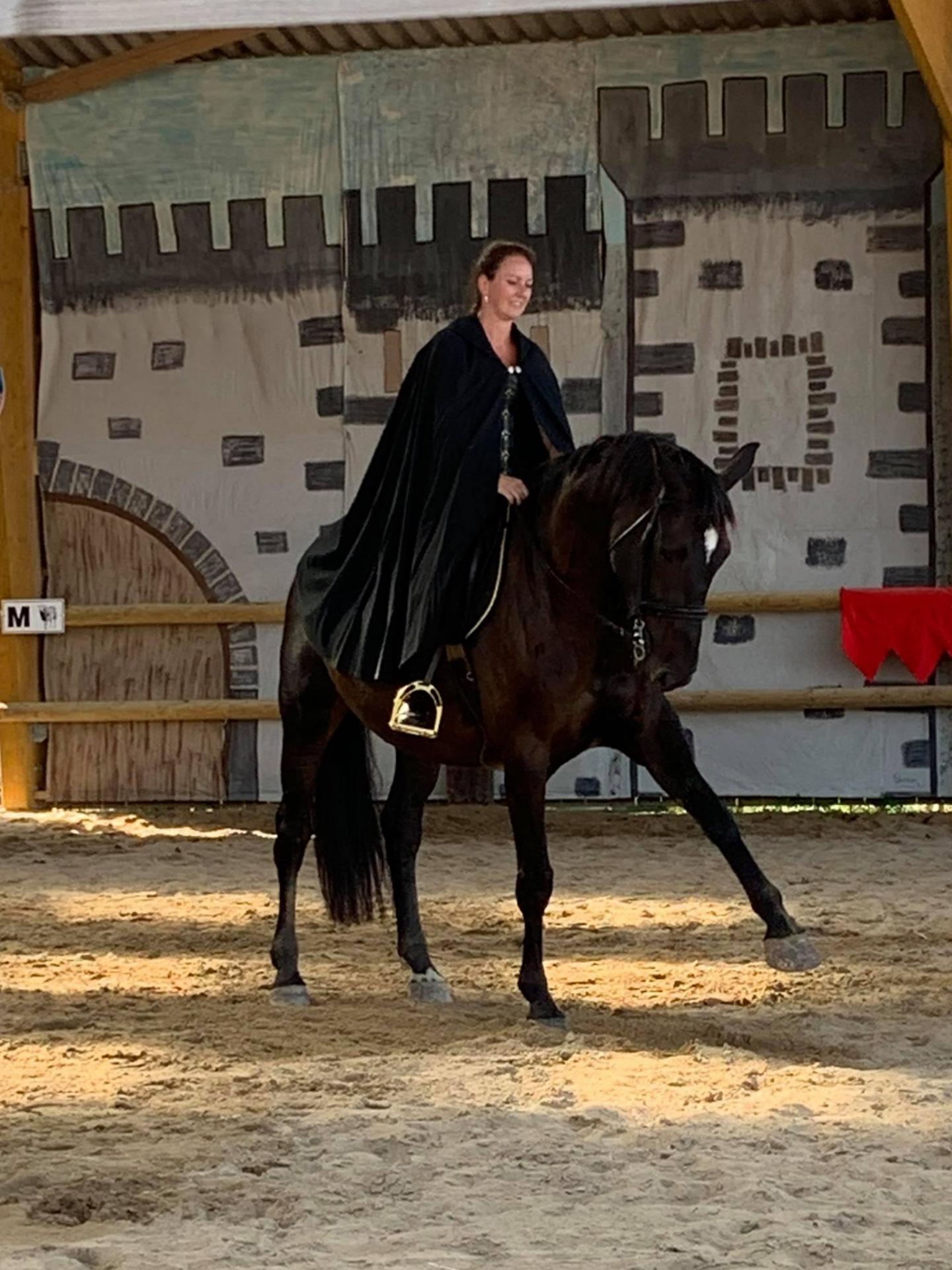 Cours dressage