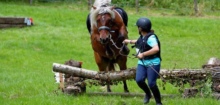 Les règles et les 4 épreuves de TREC en équitation Les règles et les 4 épreuves de TREC en équitation