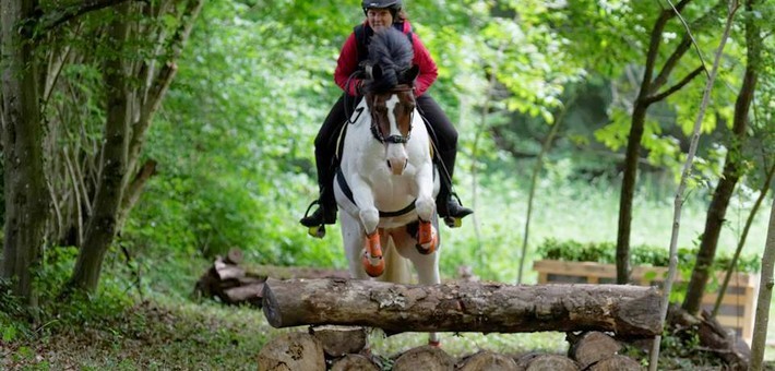 Présentation du TREC en équitation Présentation du TREC en équitation