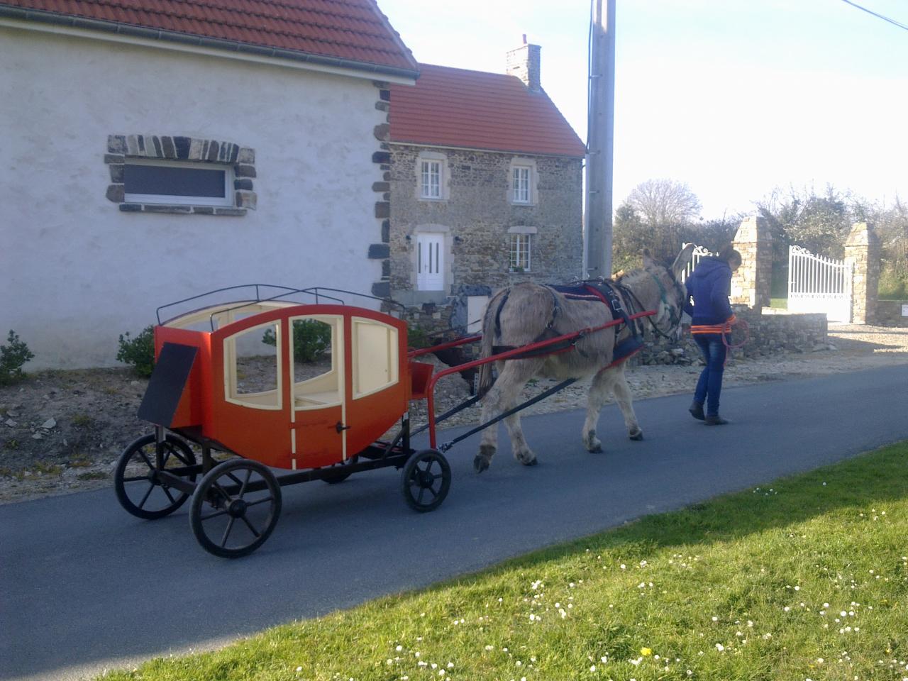   le carosse tiré par un âne