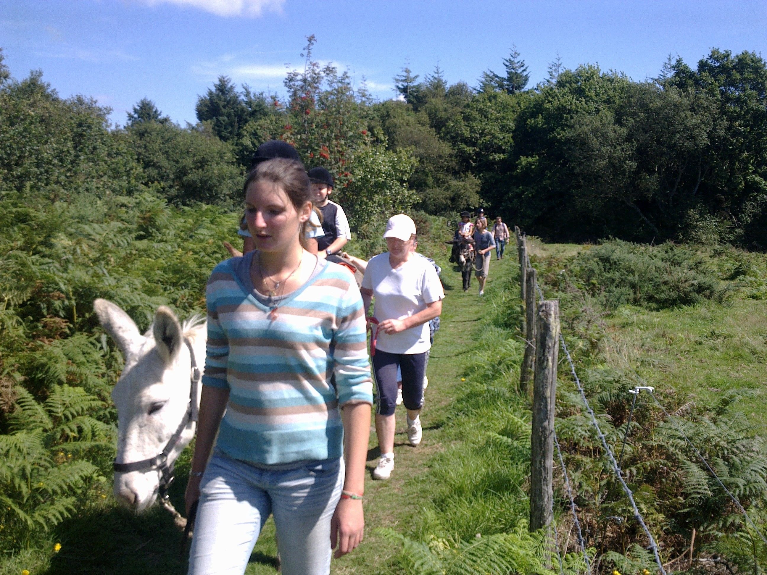  chemin du Mont Castre