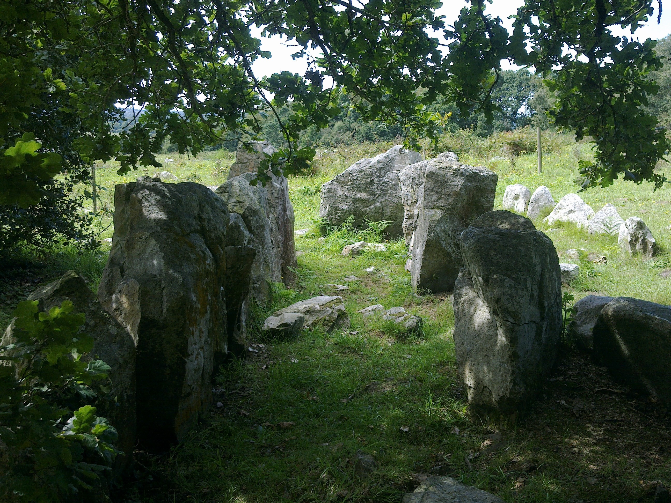 site mégalithique allée couverte du Mont Castre