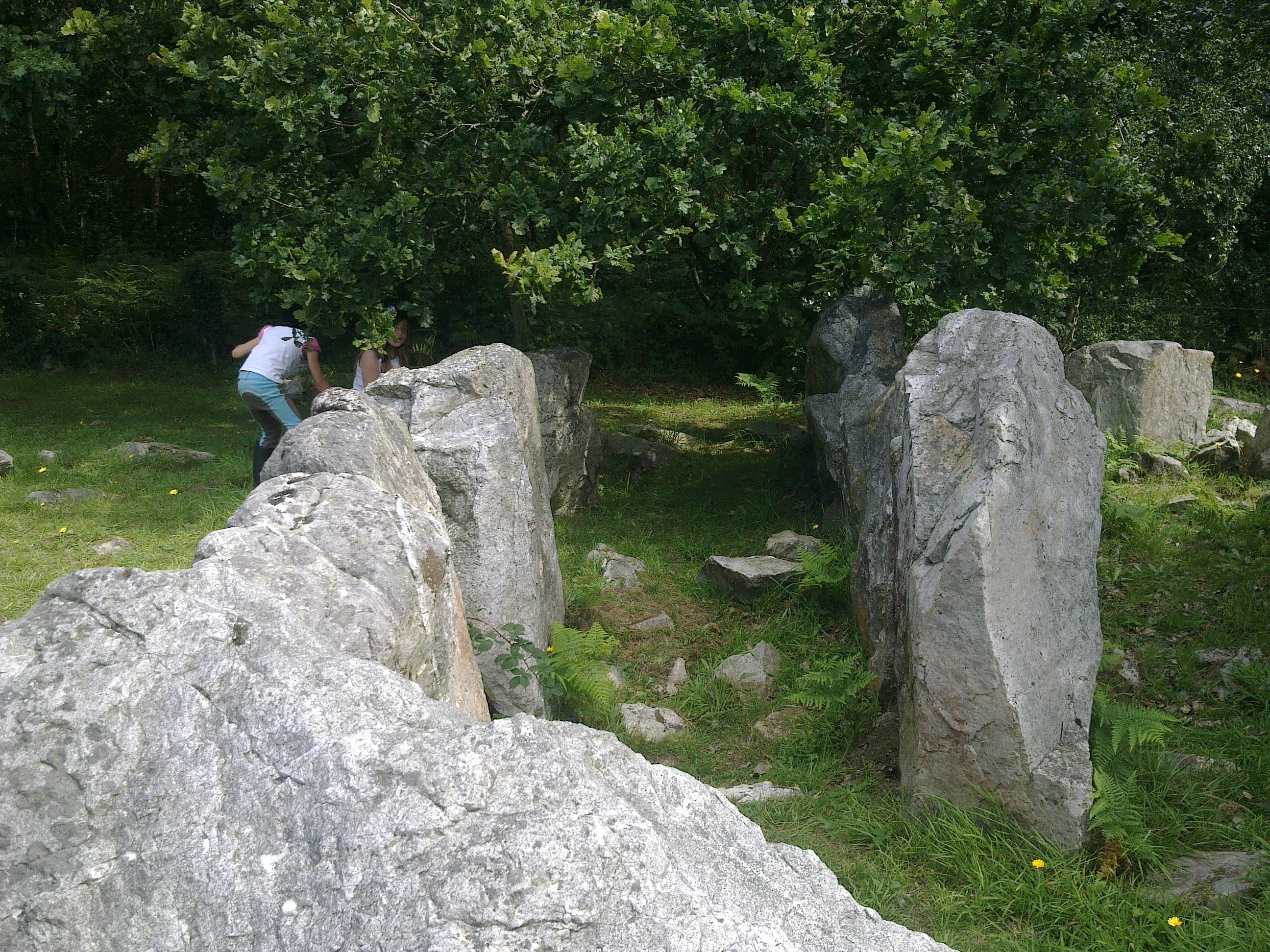 Site mégalithique allée couverte du Mont Castre