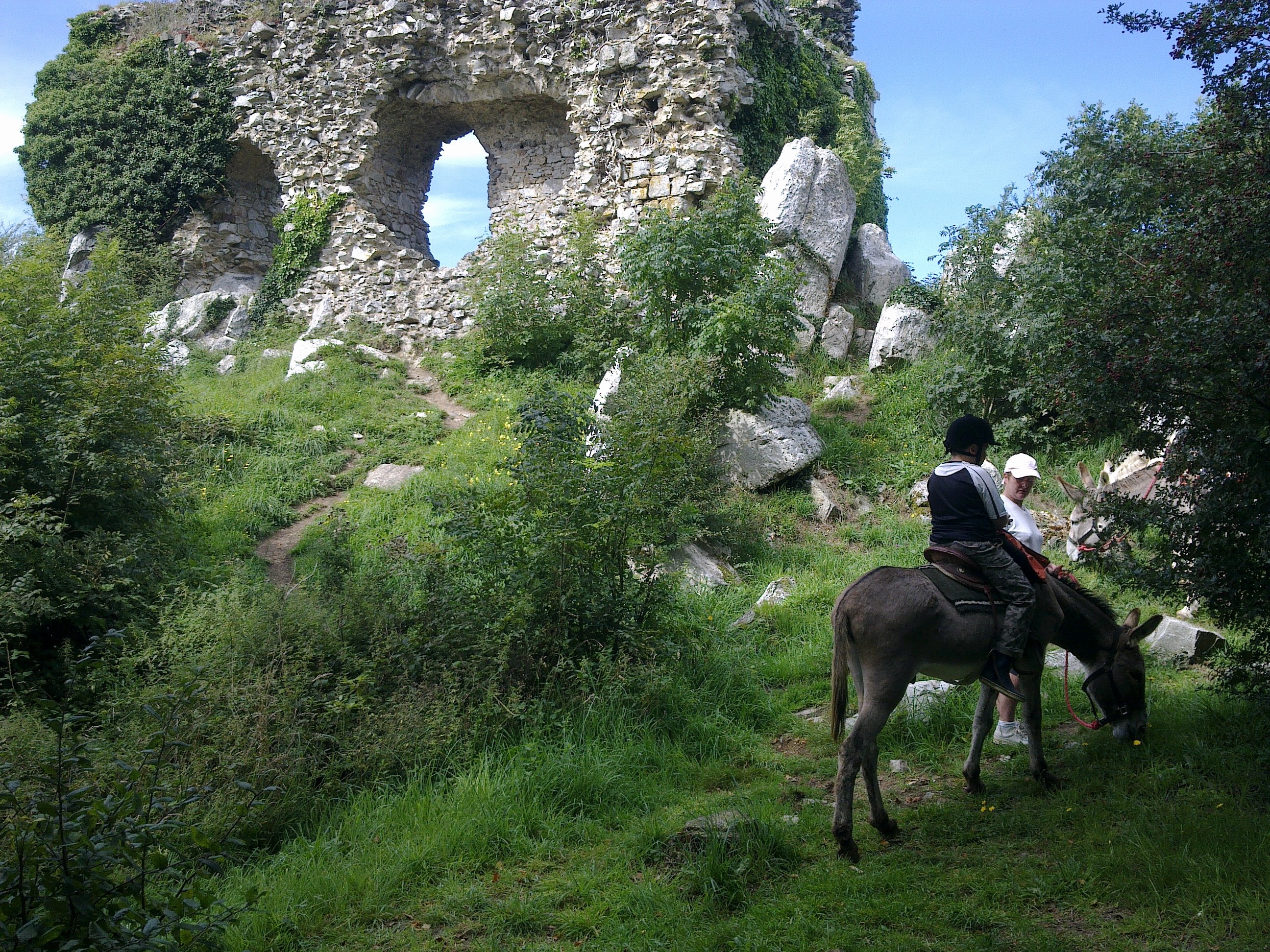 promenade equestre montée Mont castre