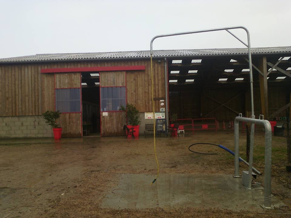 lavage du vélos, et chevaux