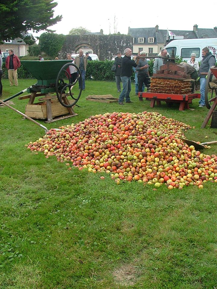 cidre  pressé par les ânes