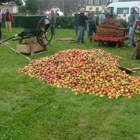 14581296_1275494359149555_7243298536817265642_n