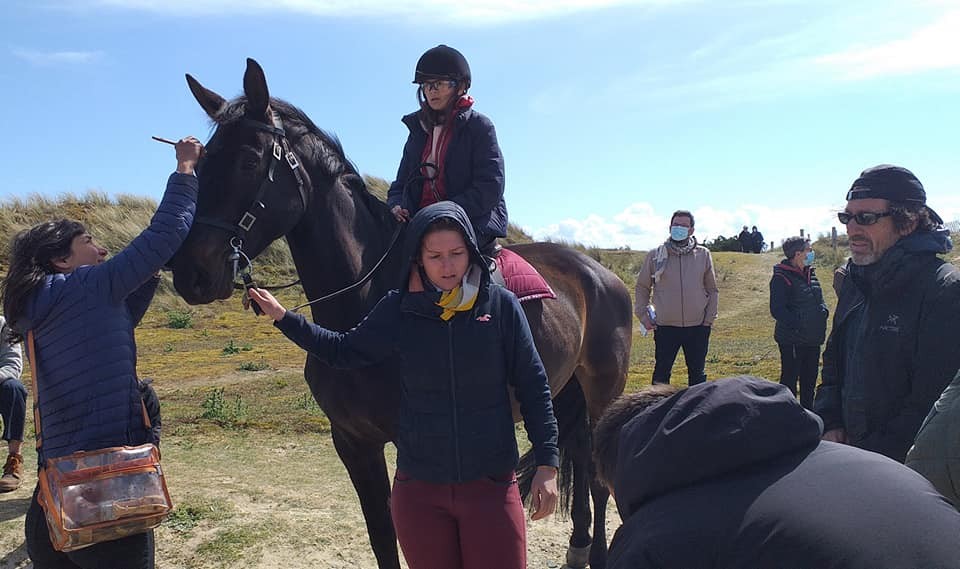 Tournage de Camera du Dalot notre jument dans le film Tempete au haras