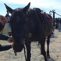 188185630 514474453009937 6106564822467467182 n 1 