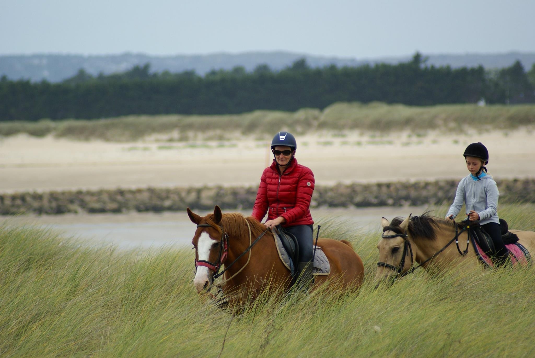 visite des dunes protégées