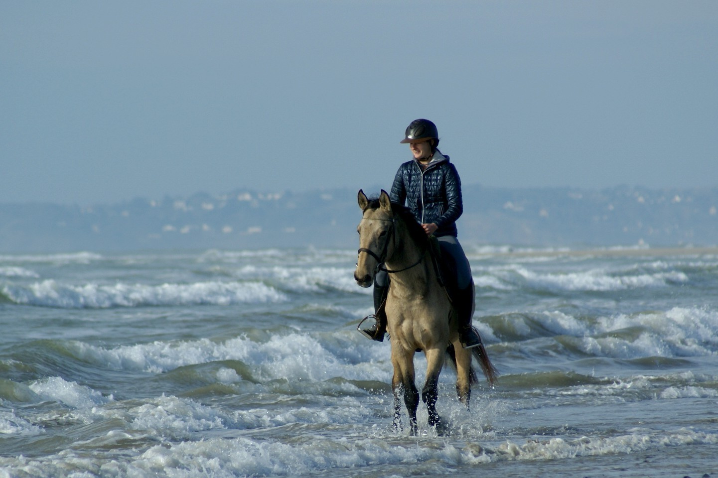  trot dans l'eau face aux vagues