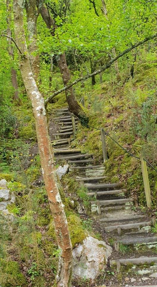  Cet escalier est a prendre uniquement a pied 