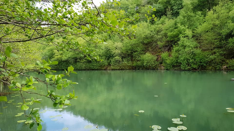  l'etang avec pédalos et buvette, et toilette