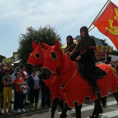 Tournages, manifestations extérieur, Spectacles équestres