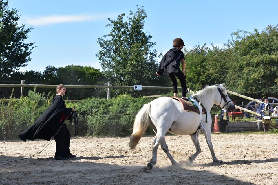  spectacle equestre