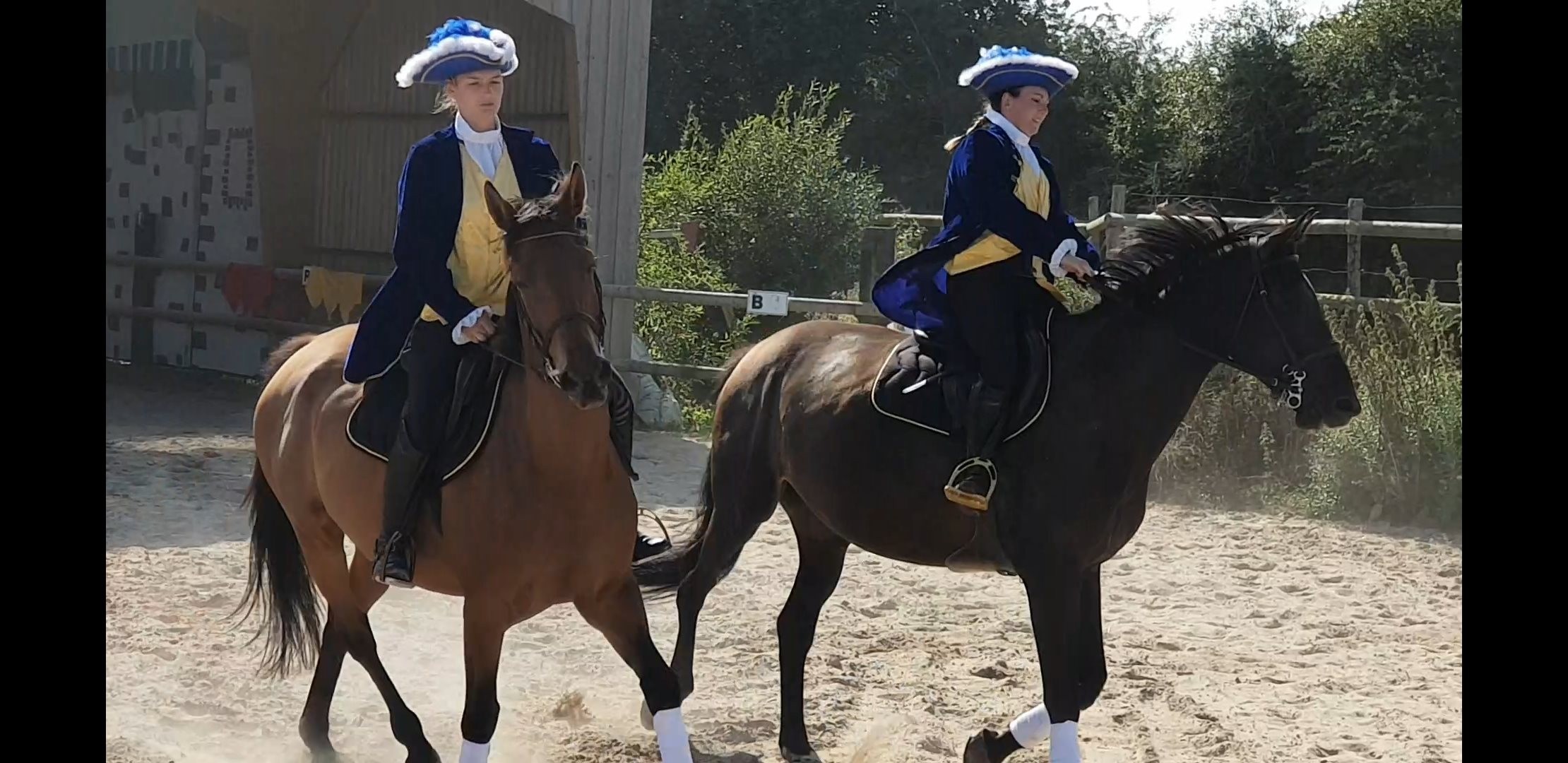 spectacle equestre