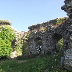 DSCF6212