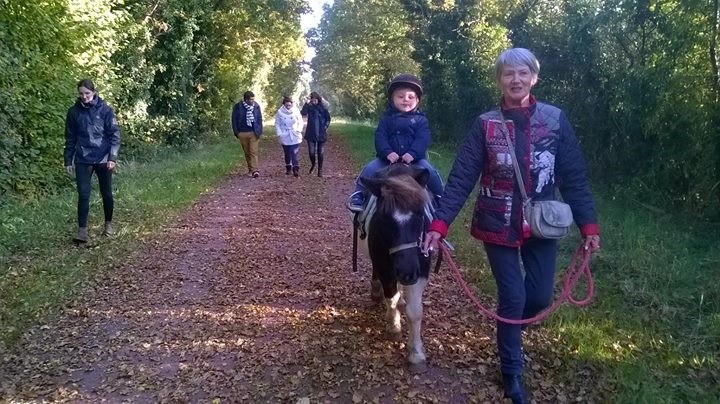 Promenade poney monté