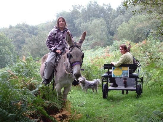 Les chemins du Mont Castre