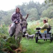 Les chemins du Mont Castre