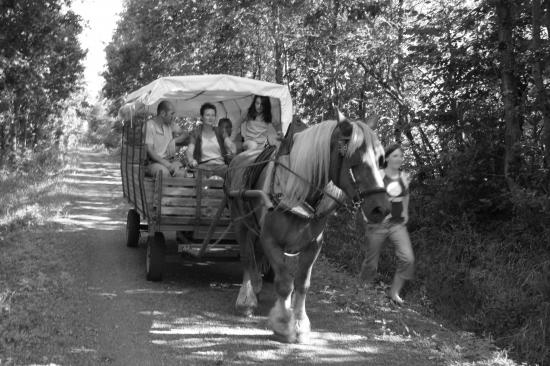 Promenade en chariot sur la voie vertes.