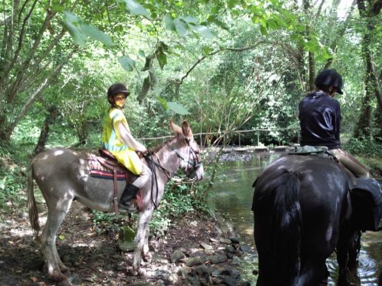 Rivière ou les chevaux s'abreuvent sur notre route.