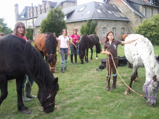 Arrivée au château