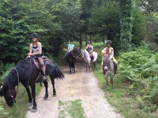    Randonnées  marais et le bois de limors   2 jours