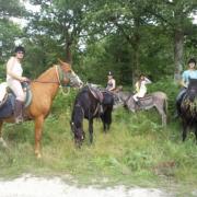   Randonnées  bois de limors à cheval et en ânes