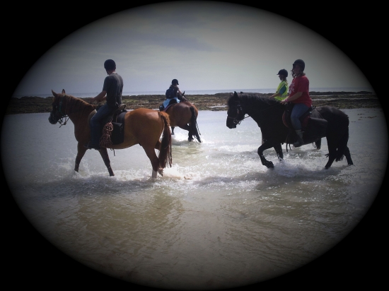 Bain avec les chevaux 1 er jour