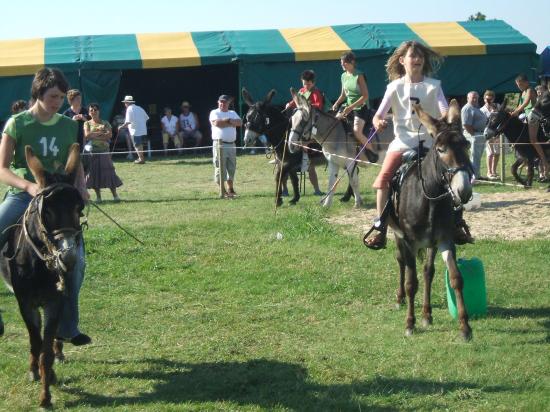 Course en ânes à la fête de l'âne à St George la Rivière