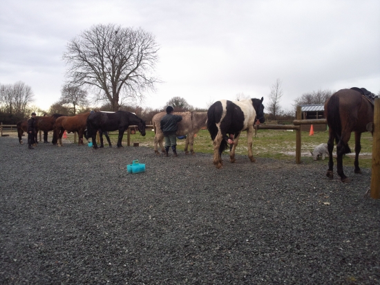 Une partie de notre cavalerie