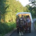 Randonnées en chariot western à cheval.