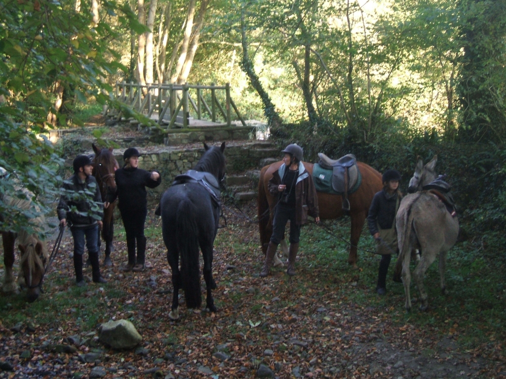 Le passage à  gué sur le chemin du Mont de Doville