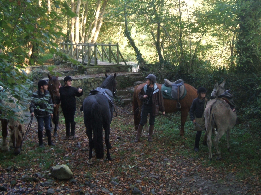 Le passage à  gué sur le chemin du Mont de Doville