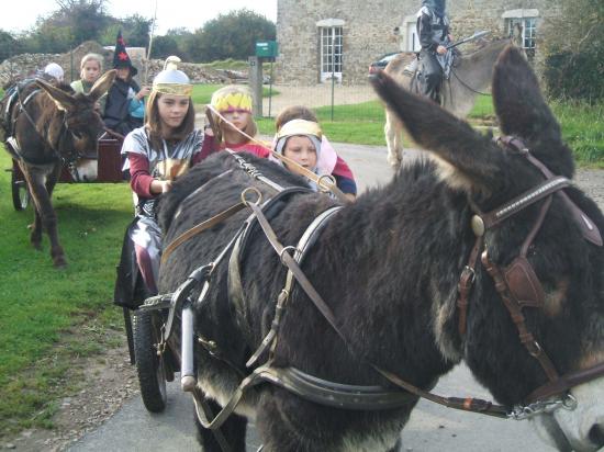 Rallyes, jeux équestre, tournois, soins des ânons, randonnées à cheval et en ânes