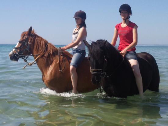 le bain avec les chevaux