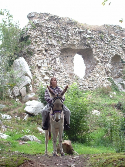 Visite du Château Gallo Romain