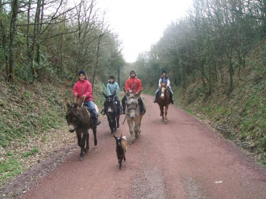   Randonnées montées à cheval et en ânes