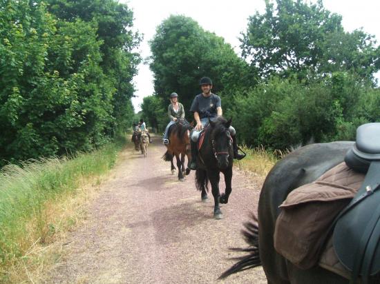 Randonnées à cheval et en ânes sur la voies vertes.