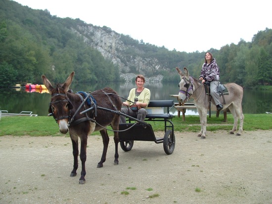 Randonnée libre en Attelé et monté ânes