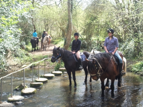 randos équitation chevaux