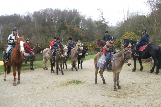 arrêt buvette pour les ânes et chevaux