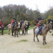 arrêt buvette pour les ânes et chevaux