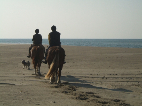 la plage