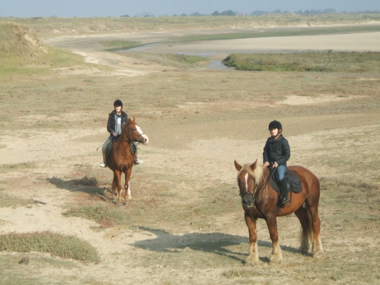 Les dunes et le havre