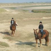 Les dunes et le havre