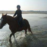 Un petit bain dans le havre de Surville