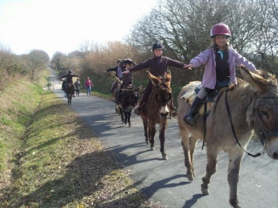 rando Equitation ânes