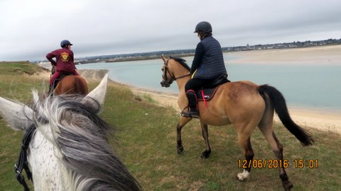 promenade dans les dunes protégées avant de faire le galop sur la plage